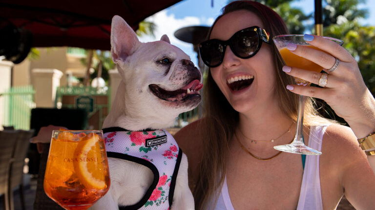 Dog Friendly Dining in South Florida