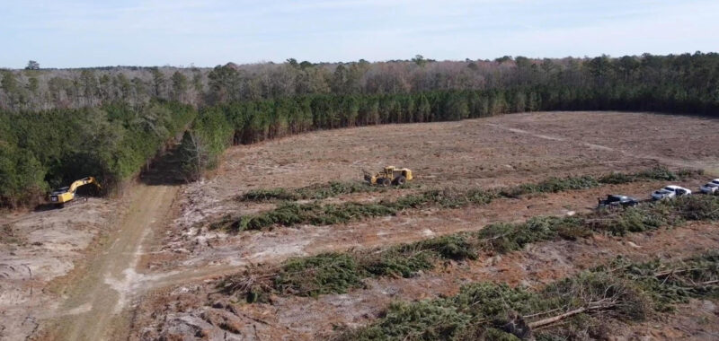 R&D Timber Co. Offers Unbeatable Land Clearing and Forestry Mulching Services in Bluffton and Surrounding Areas