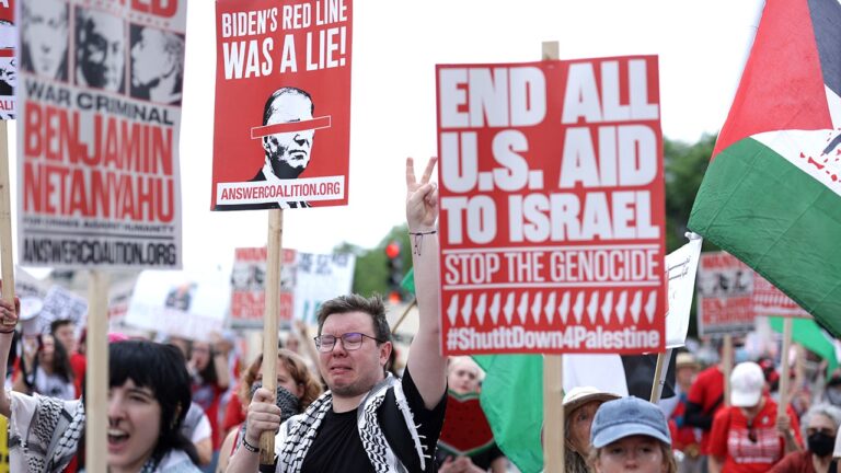 Activists Demonstrate In D.C. During Israeli Prime Minister Netanyahus Address To Congress