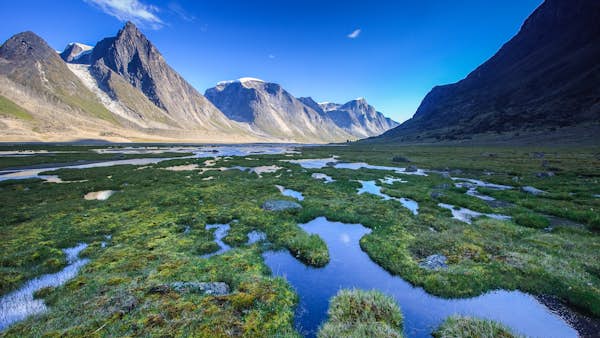Shutterstock1231142647 crop
