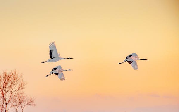 Shutterstock1716717229