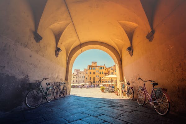 shutterstockRF240641503
