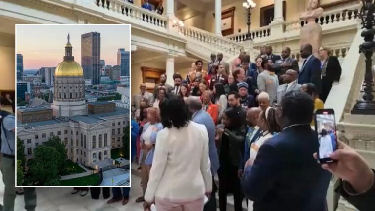 georgia walkout