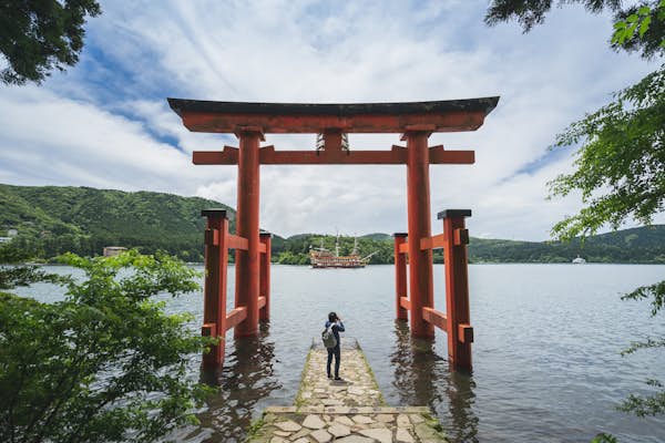 shutterstock1120651097 1