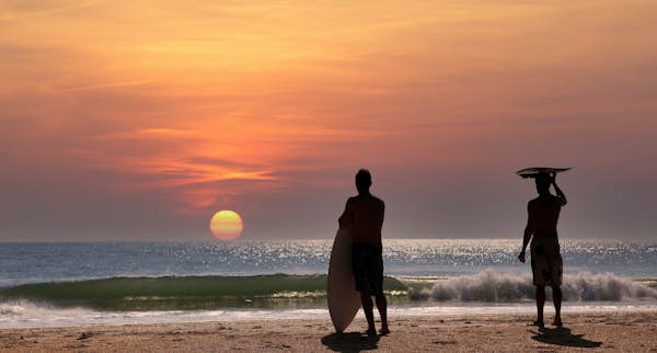 shutterstock2081440627